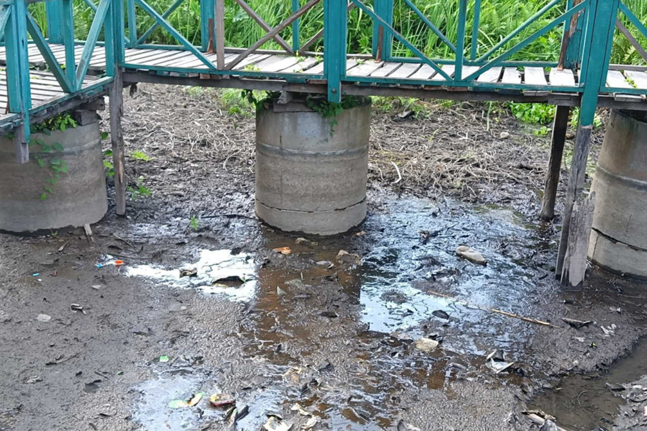 बेतना सिमसार क्षेत्र सुक्दै: माछा मर्न थाले, सिँचाइमा समस्या