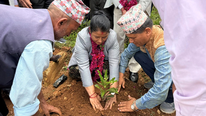पर्वतमा जापानी कटुस (मेकाडेमिया नट) खेती विस्तार, बाँझो जग्गा उपयोग गर्दै