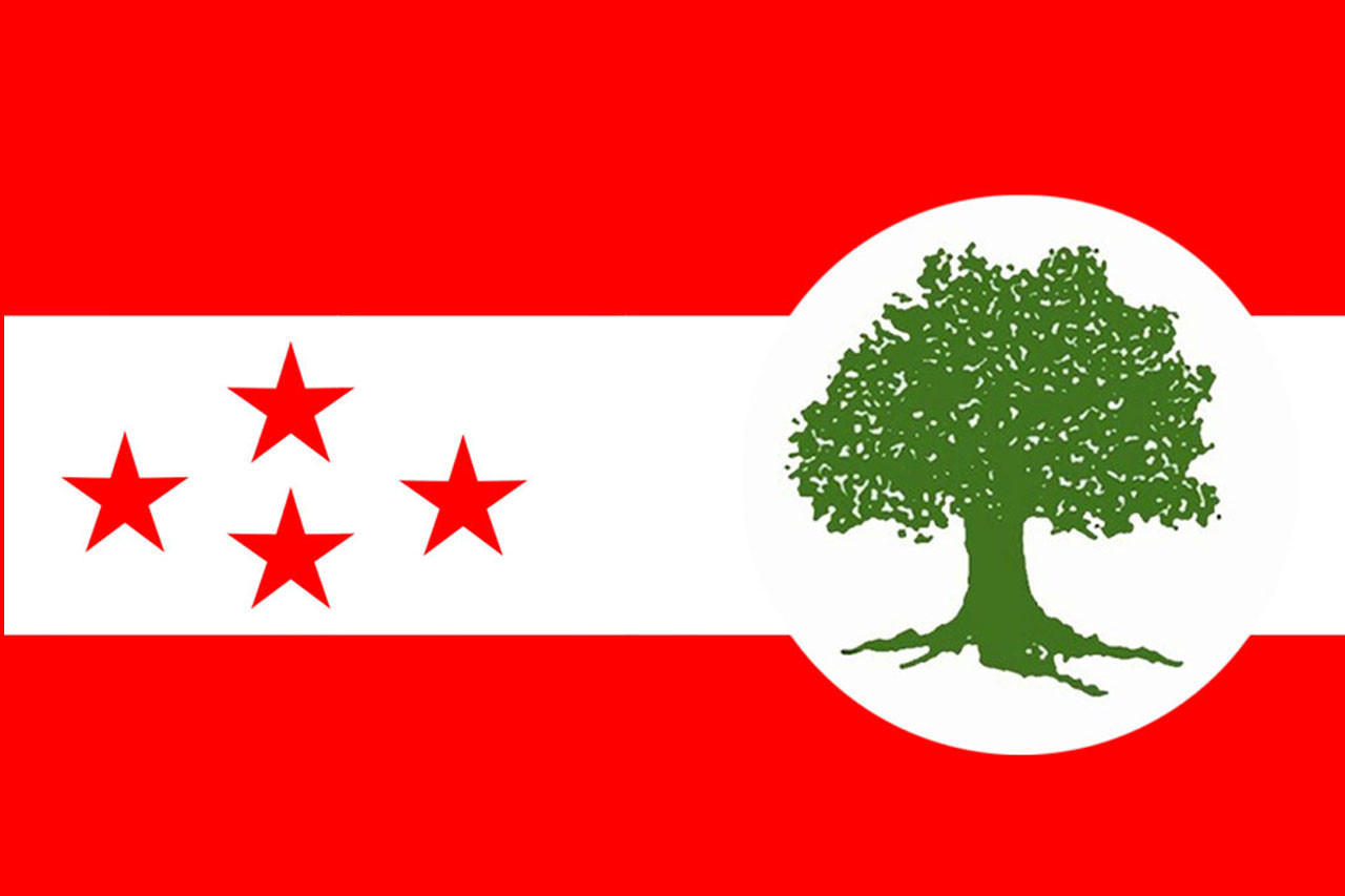 कांग्रेस केन्द्रीय कार्यसमितिको बैठक आज, रणनीति र सङ्गठन सुदृढीकरणमा छलफल