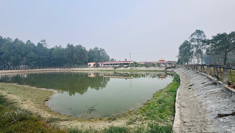 झापाको महारानीझोडामा सहकारी खेती र कृषि घरबास: उदाहरणीय ग्रामीण कृषि पर्यटन