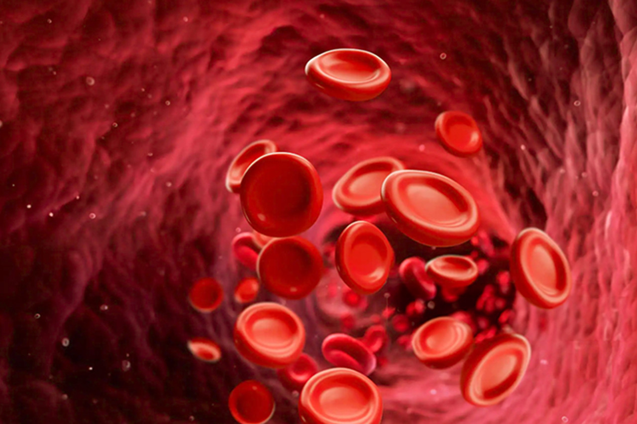 पाँचखाल नगरपालिकाले नगरवासीलाई निःशुल्क रगत उपलब्ध गराउने