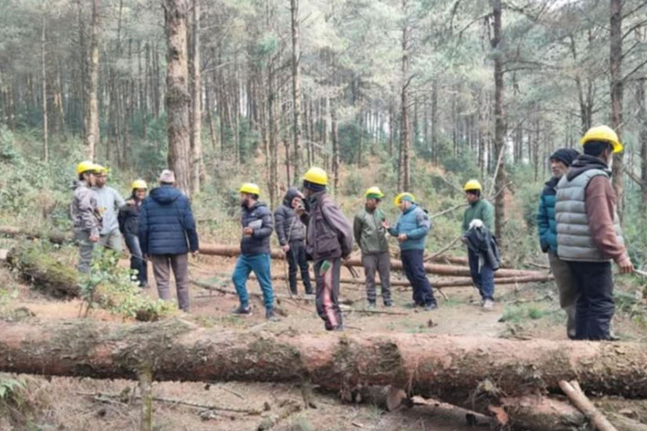 दिगो वन संरक्षणका लागि हातेमालो गर्न सरोकारवालाको आह्वान