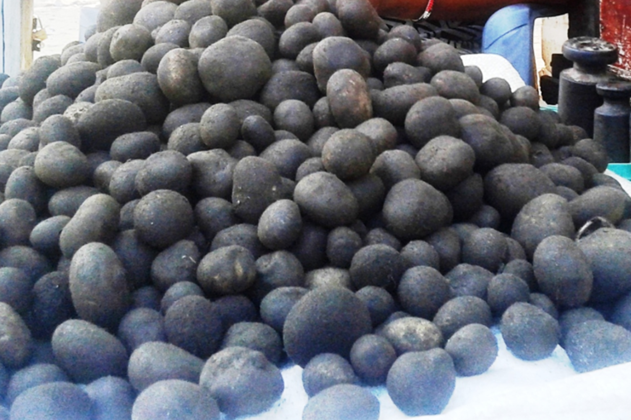 स्वादबाट सम्झनामा सीमित बन्दै कञ्चनपुरको फुटकी च्याउ