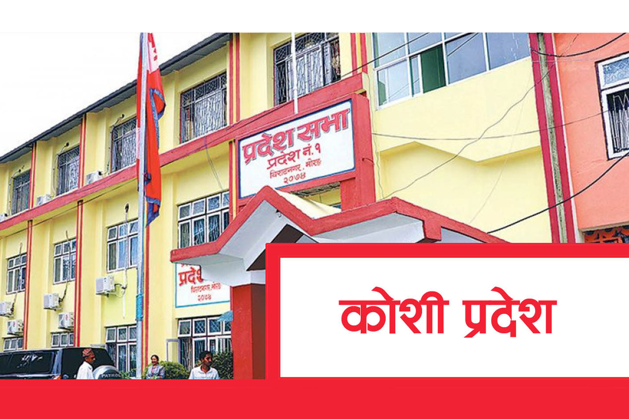 कोशी प्रदेशसभामा विनियोजन विधेयकको सिद्धान्त र प्राथमिकतामा छलफल जारी