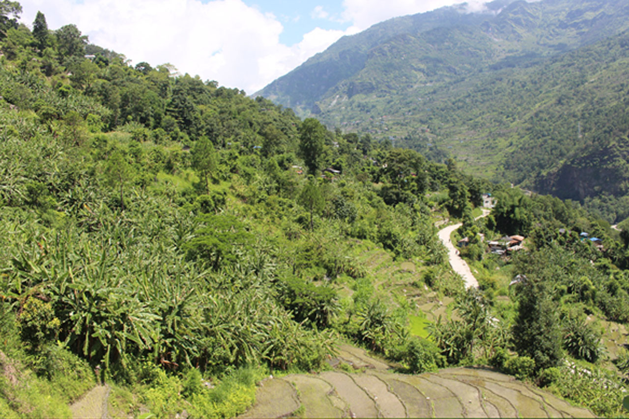 केराखेतीबाट स्वरोजगार बने म्याग्दीका प्रकाश