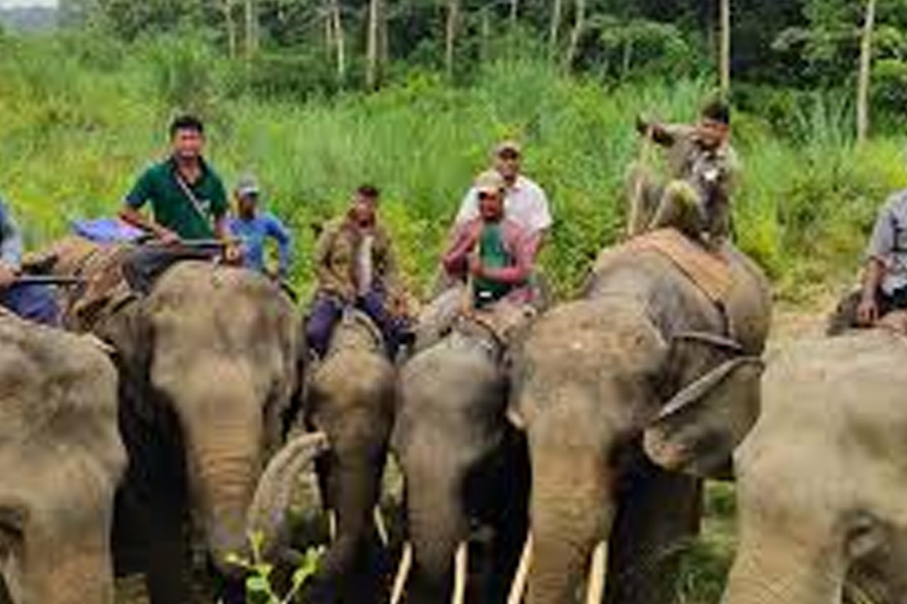 सौराहामा हात्ती सफारी व्यवस्थित गर्न माहुतेलाई प्रशिक्षण