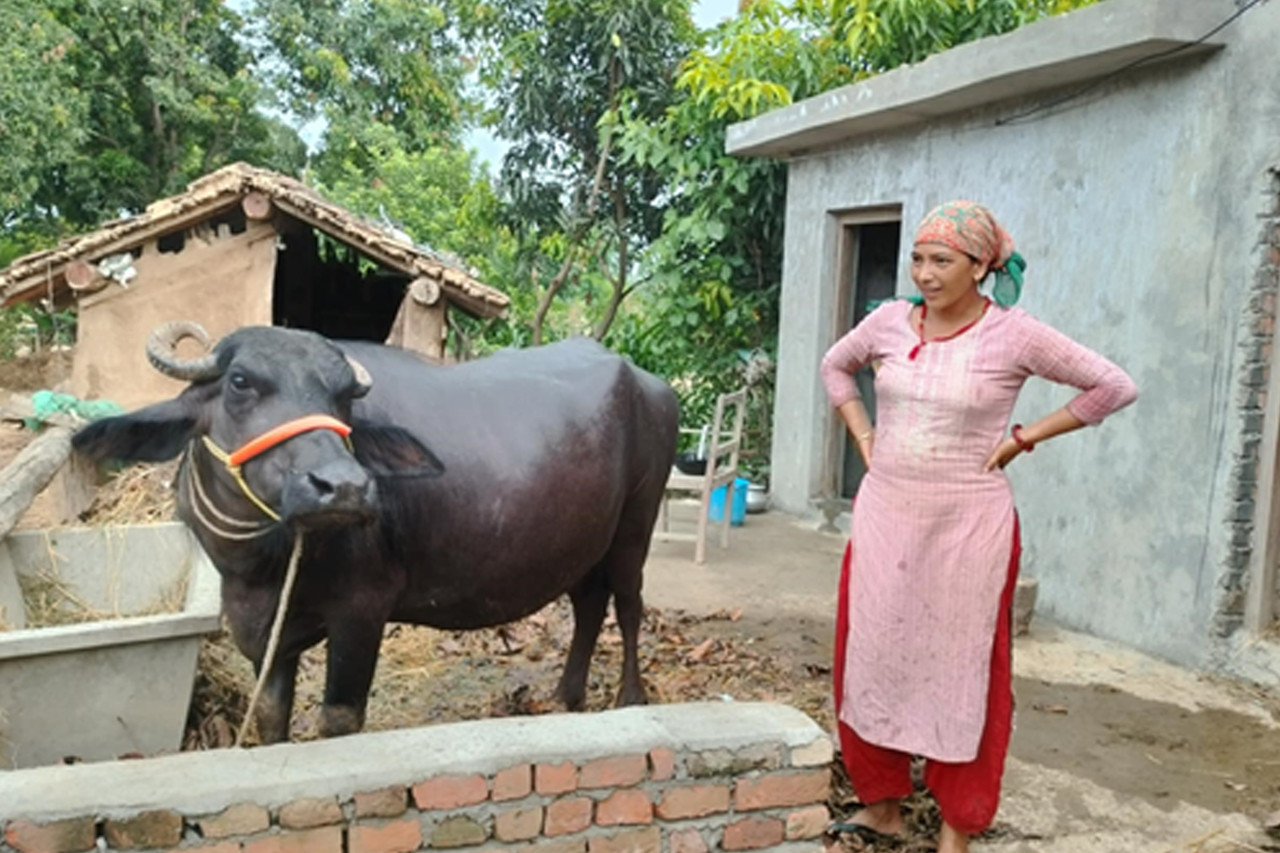 गोठ सुधार गरेपछि पशुचौपायामा सङ्क्रामक रोग घट्दै