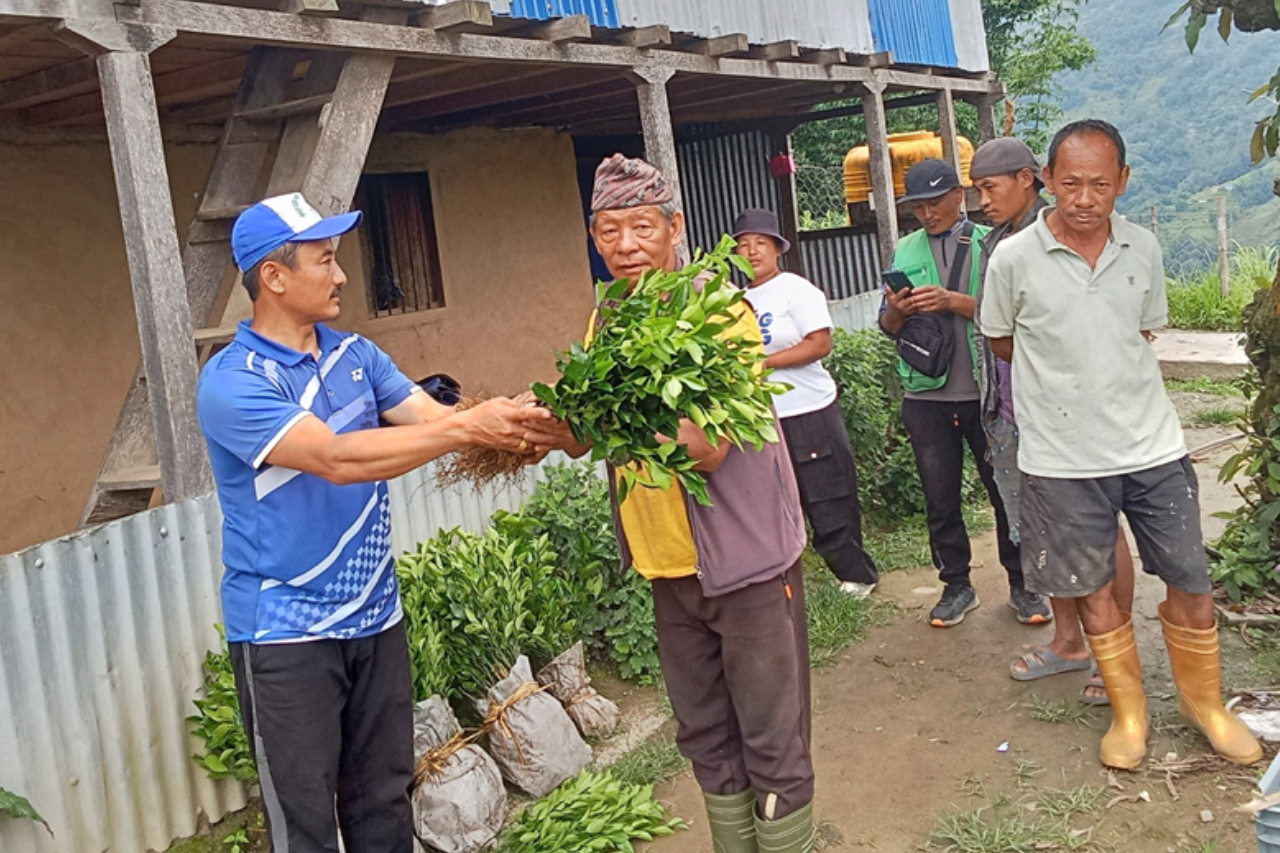 टेम्केमैयुङको कृषि पकेट क्षेत्रमा सुन्तलाका बिरुवा वितरण