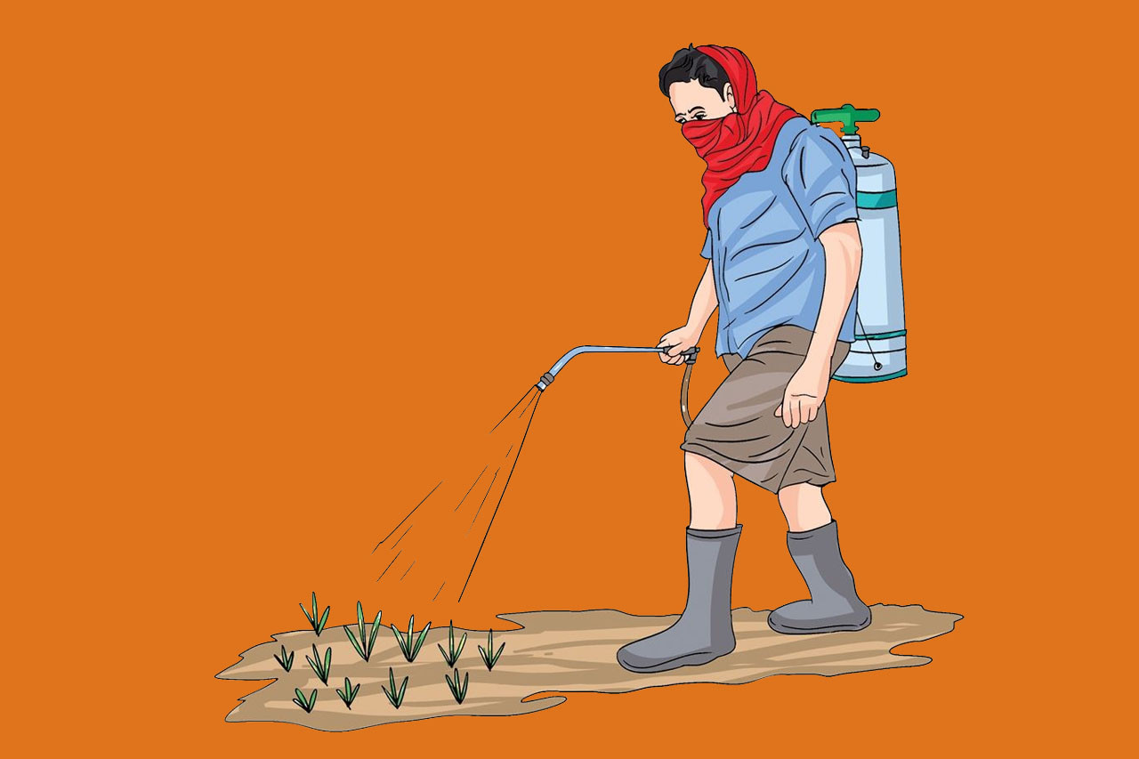 हिमाली जिल्ला मनाङमा विषादी प्रयोगमा सचेतना