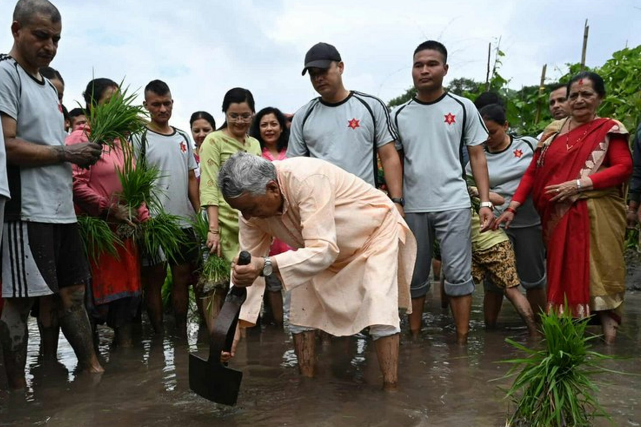 राष्ट्रपति भवनमा धान दिवसको अवसरमा रोपाइँ