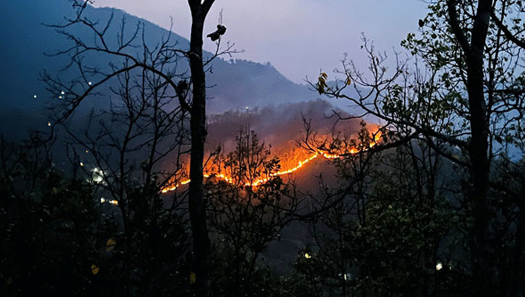 तनहुँमा डढेलोबाट ठूलो क्षति, १६२ हेक्टर वन क्षेत्रमा आगलागी