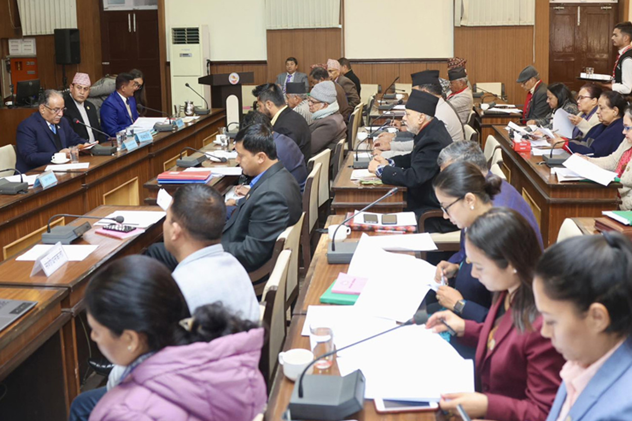 आज तीन संसदीय समितिका बैठक बस्दै