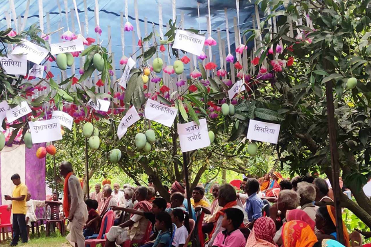 धनुषामा दुईदिने आँप महोत्सव आयोजना हुने