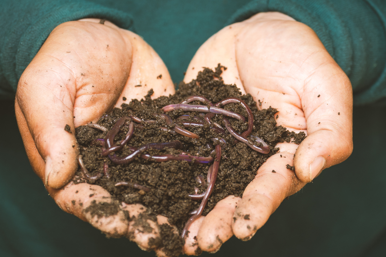 घरको भान्सा र तरकारीको बोक्राबाट गड्यौला मल बनाउने तालिम